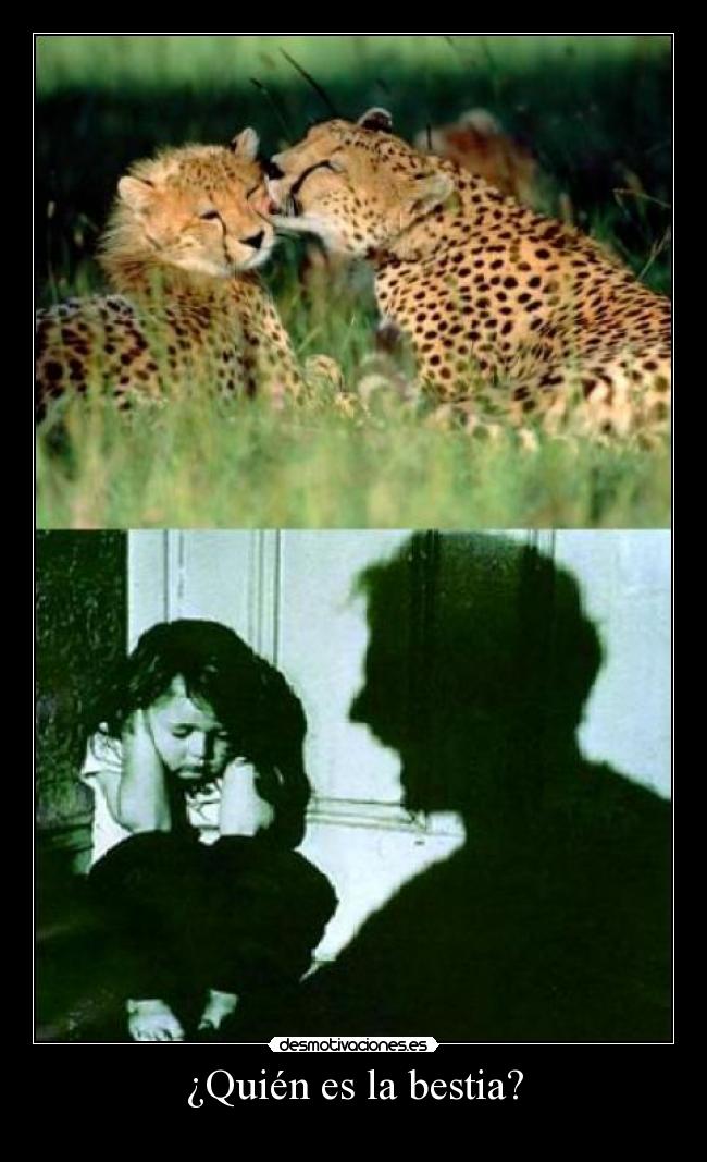 ¿Quién es la bestia? -