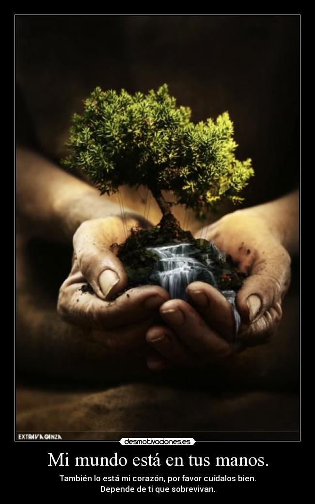 Mi mundo está en tus manos. - También lo está mi corazón, por favor cuídalos bien.
Depende de ti que sobrevivan.