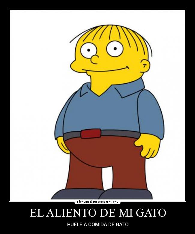 EL ALIENTO DE MI GATO - 