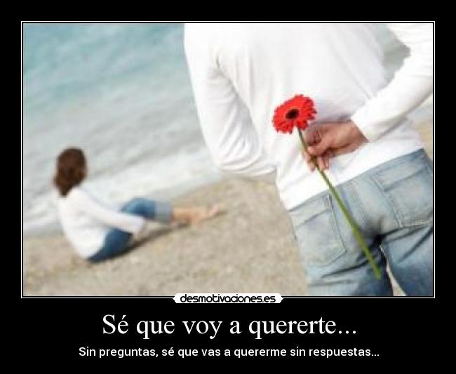 Sé que voy a quererte... - Sin preguntas, sé que vas a quererme sin respuestas...