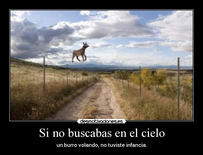 Si no buscabas en el cielo -