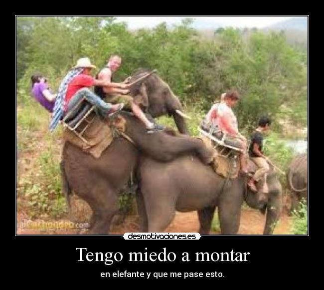 Tengo miedo a montar - en elefante y que me pase esto.
