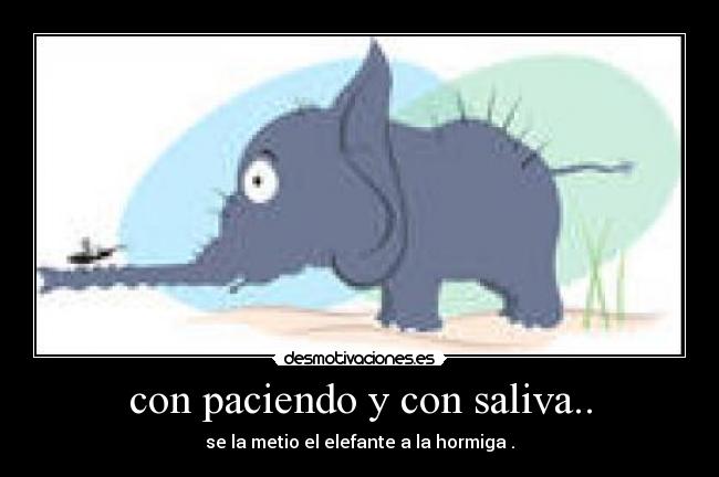 con paciendo y con saliva.. - se la metio el elefante a la hormiga .