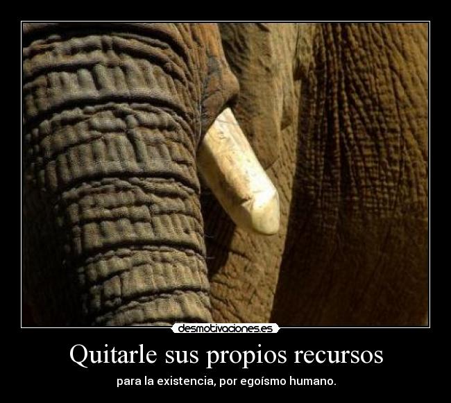 Quitarle sus propios recursos - para la existencia, por egoísmo humano.