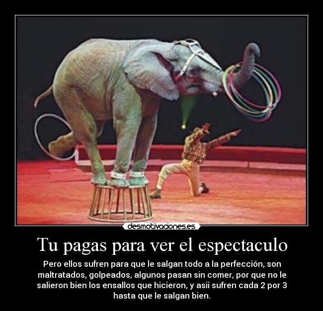 Tu pagas para ver el espectaculo - Pero ellos sufren para que le salgan todo a la perfección, son
maltratados, golpeados, algunos pasan sin comer, por que no le
salieron bien los ensallos que hicieron, y asii sufren cada 2 por 3
hasta que le salgan bien.