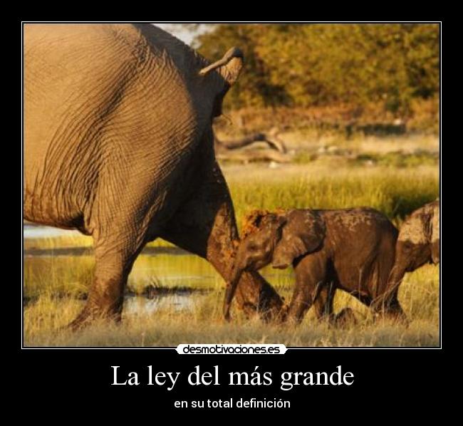 La ley del más grande - en su total definición