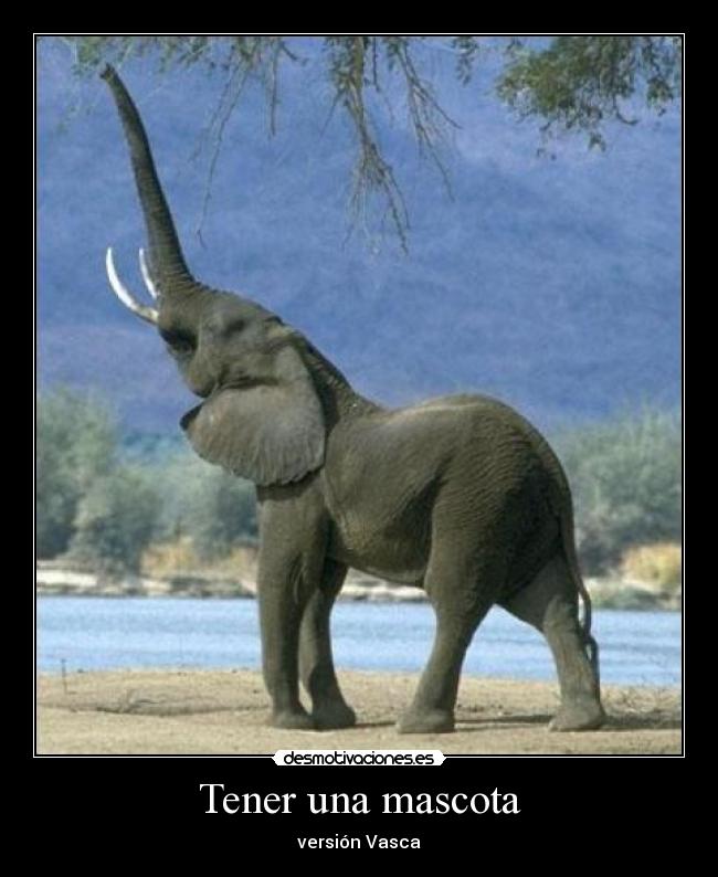 Tener una mascota - versión Vasca