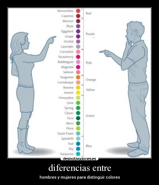 diferencias entre - 
