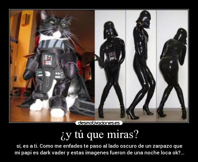 carteles gato desmotivaciones