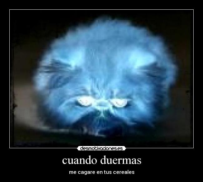 cuando duermas -