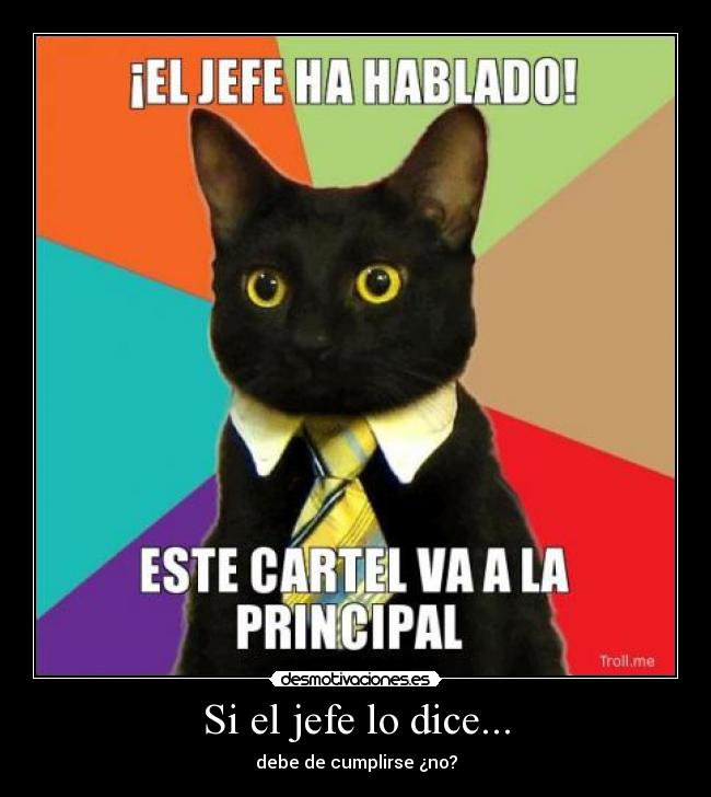 Si el jefe lo dice... - 