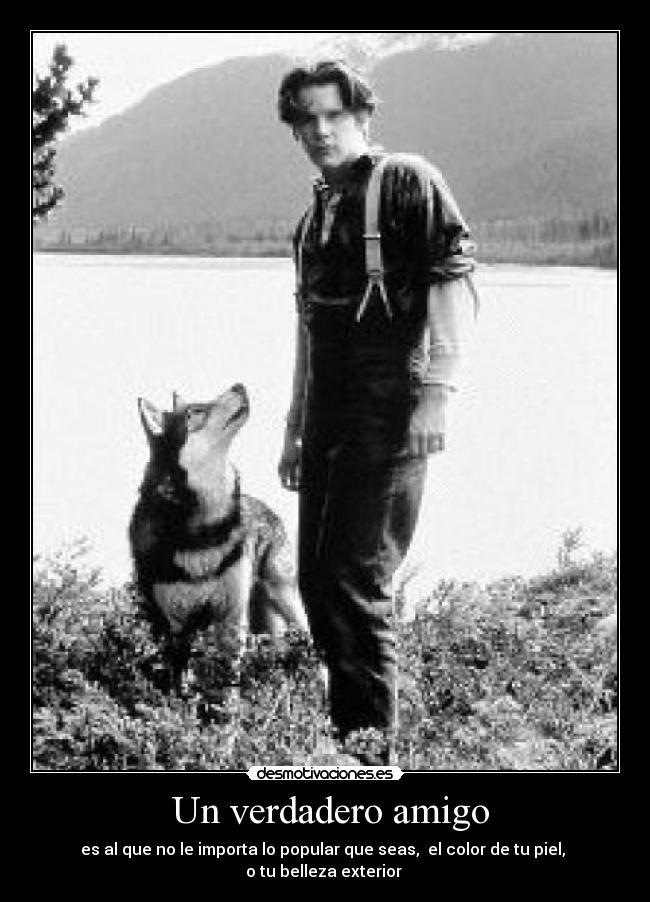  Un verdadero amigo - es al que no le importa lo popular que seas,  el color de tu piel, 
o tu belleza exterior 