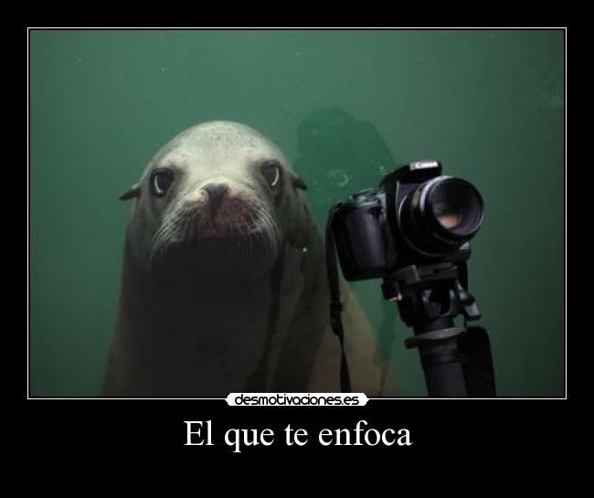 El que te enfoca - 
