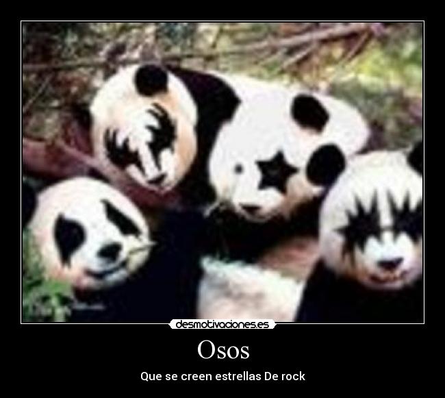 Osos -