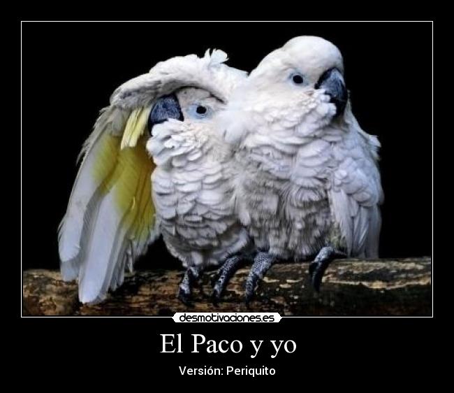 El Paco y yo - 