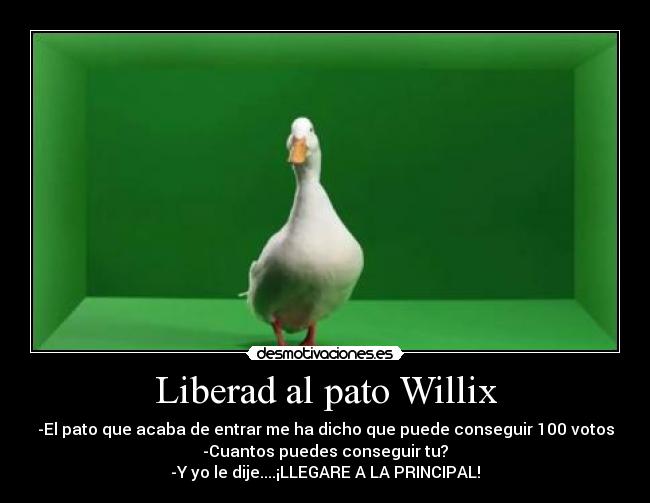 Liberad al pato Willix -