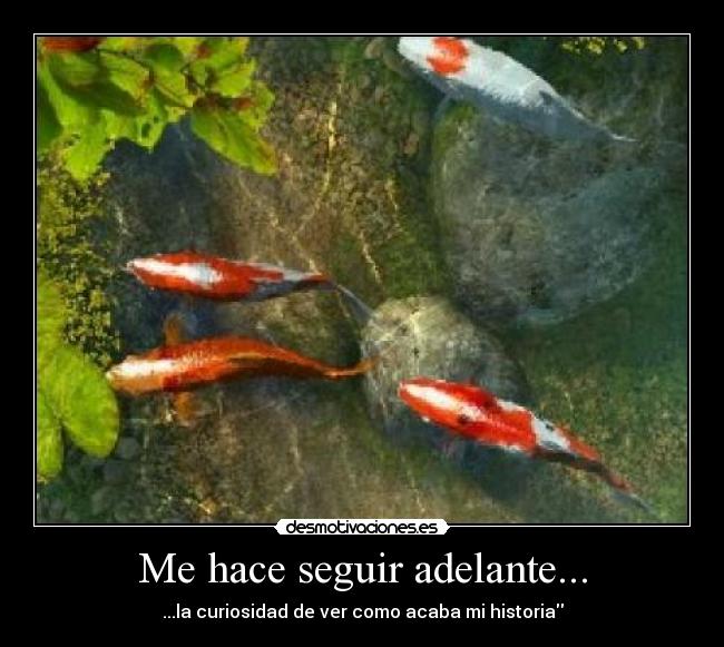 Me hace seguir adelante... - ...la curiosidad de ver como acaba mi historia