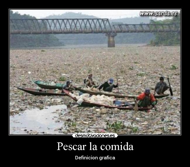 Pescar la comida - Definicion grafica