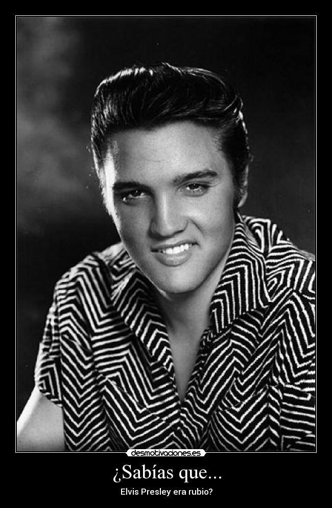 carteles elvis presley desmotivaciones