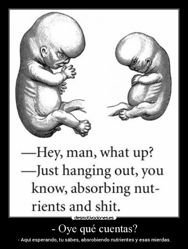 - Oye qué cuentas? - - Aquí esperando, tu sábes, absrobiendo nutrientes y esas mierdas.