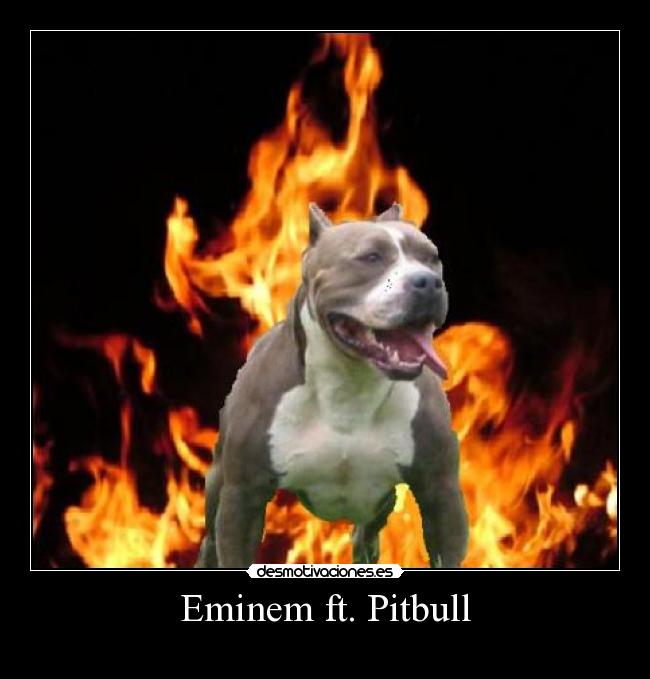 Eminem ft. Pitbull - 