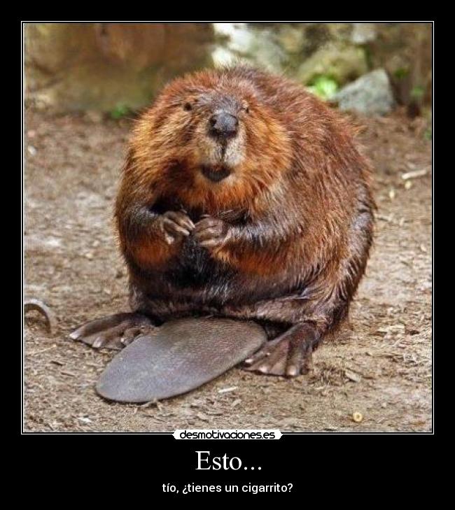 Esto... - tío, ¿tienes un cigarrito?