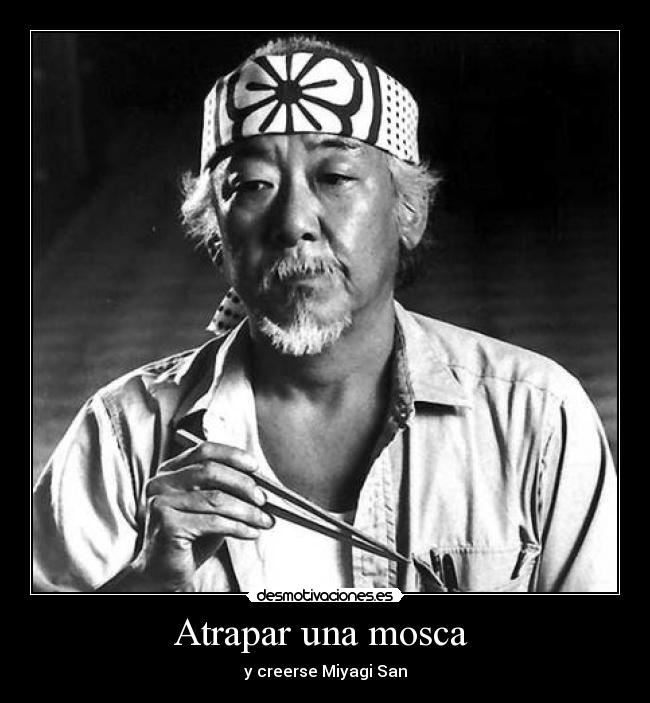 Atrapar una mosca - y creerse Miyagi San
