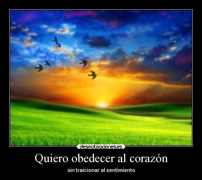Quiero obedecer al corazón -
