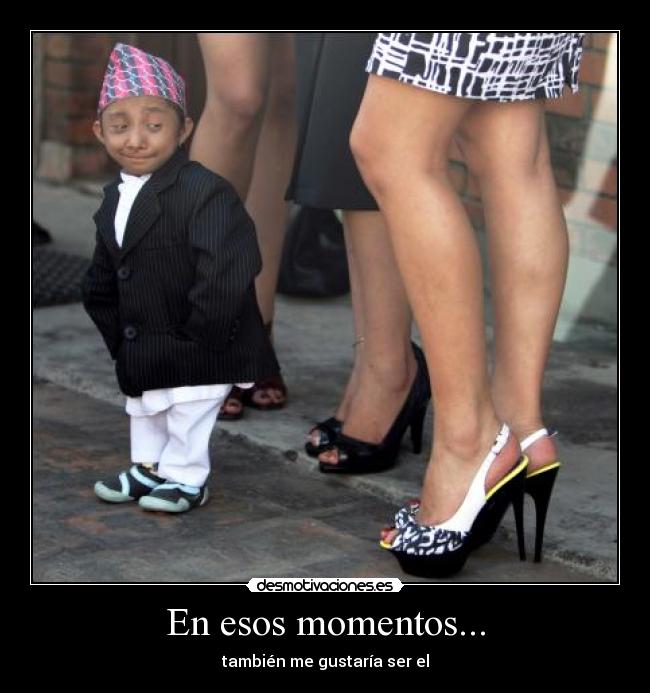 carteles enano desmotivaciones