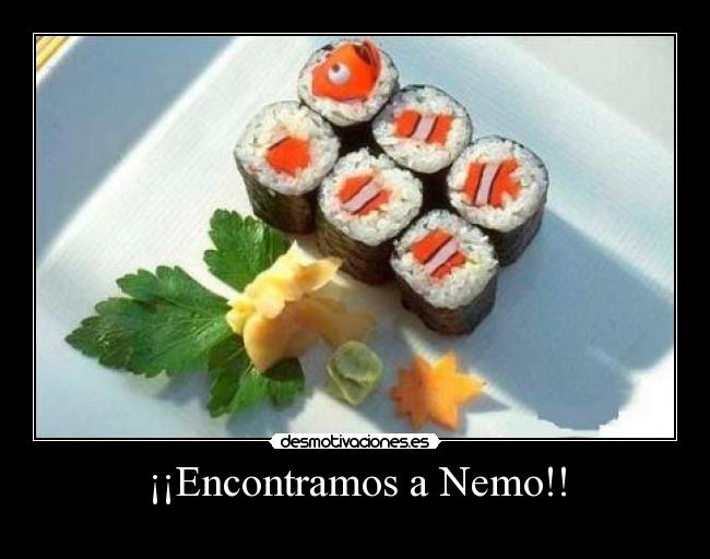 ¡¡Encontramos a Nemo!! -