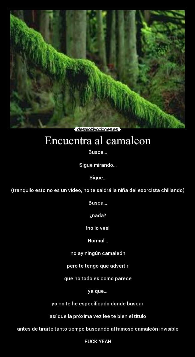 Encuentra al camaleon - 