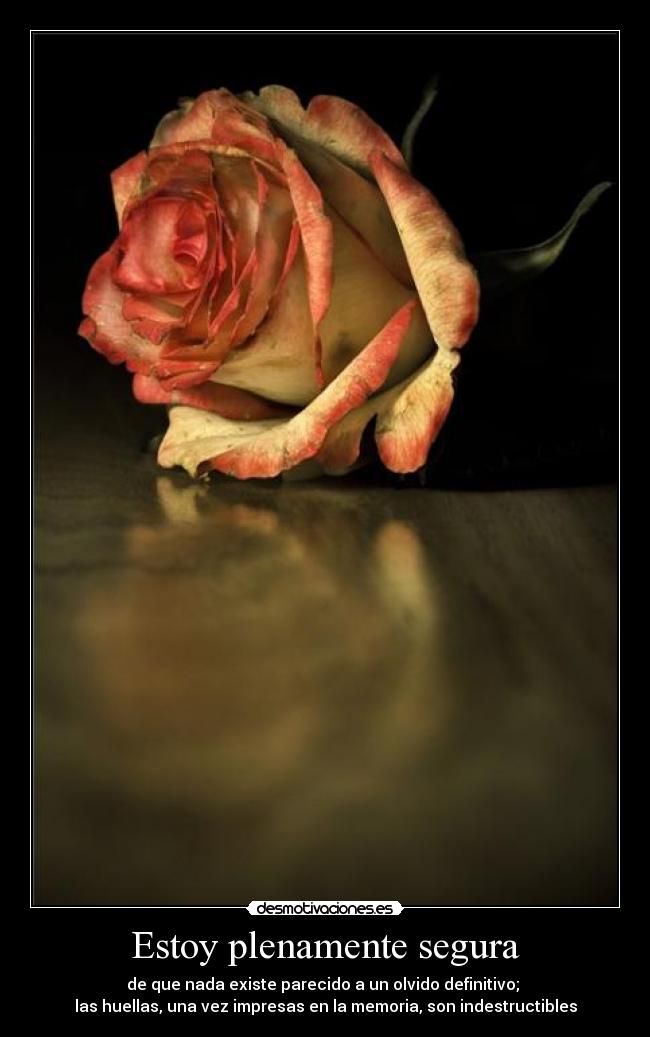 Estoy plenamente segura - de que nada existe parecido a un olvido definitivo; 
las huellas, una vez impresas en la memoria, son indestructibles