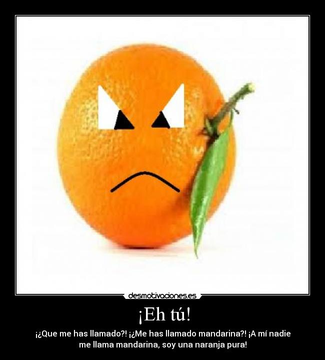 ¡Eh tú! - ¡¿Que me has llamado?! ¡¿Me has llamado mandarina?! ¡A mí nadie
me llama mandarina, soy una naranja pura!