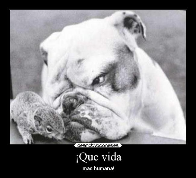 ¡Que vida - mas humana!