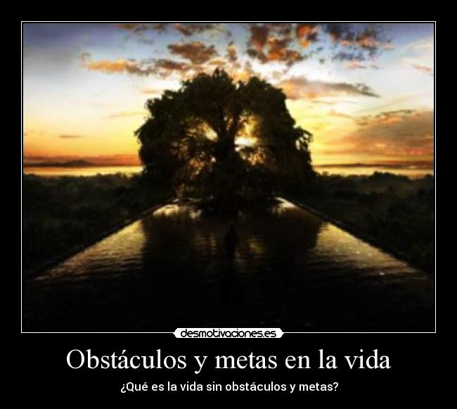 Obstáculos y metas en la vida -