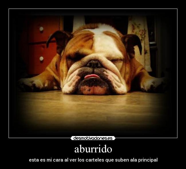 aburrido - esta es mi cara al ver los carteles que suben ala principal