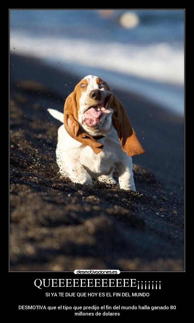 QUEEEEEEEEEEEE¡¡¡¡¡¡¡ - SI YA TE DIJE QUE HOY ES EL FIN DEL MUNDO
DESMOTIVA que el tipo que predijo el fin del mundo halla ganado 80
millones de dolares