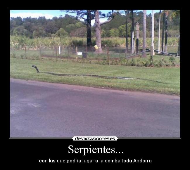 Serpientes... -