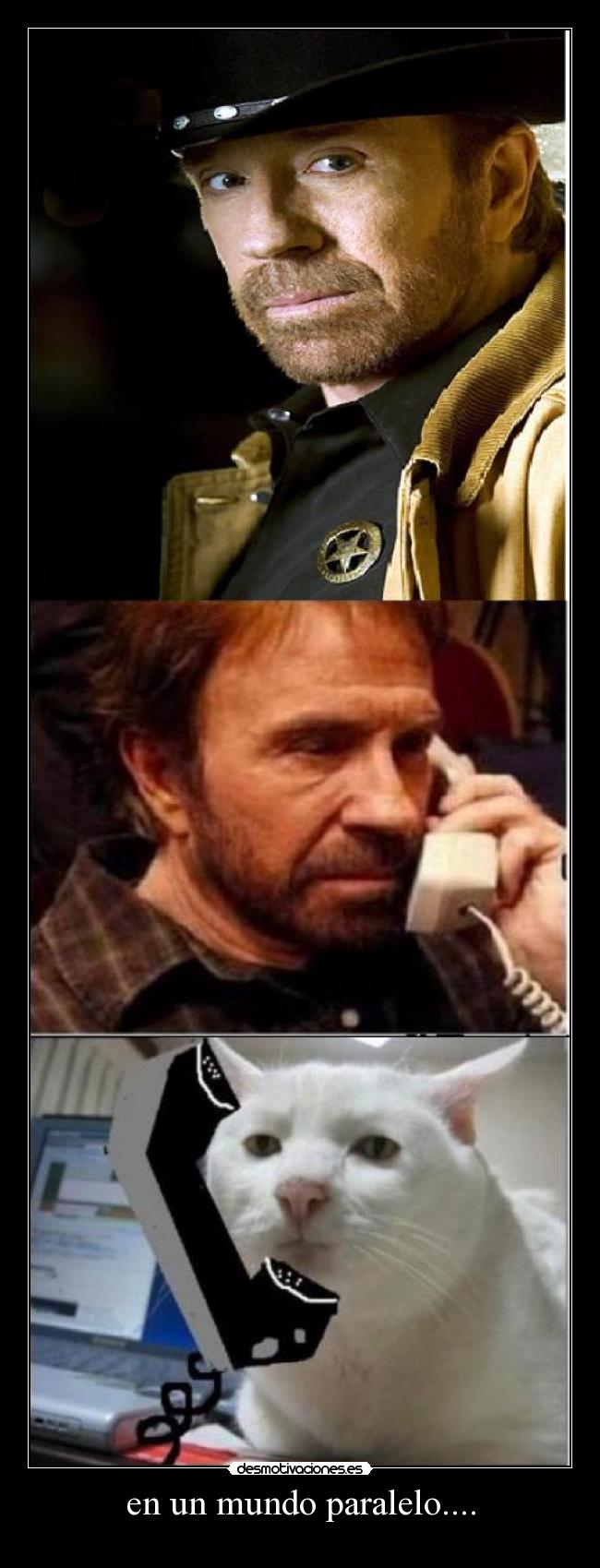 carteles mundo miguelvk99 lili_lola walt_k niunnegativo tauroanonima tomito93 keronaxd tomy calanka8 patriot desmotivaciones