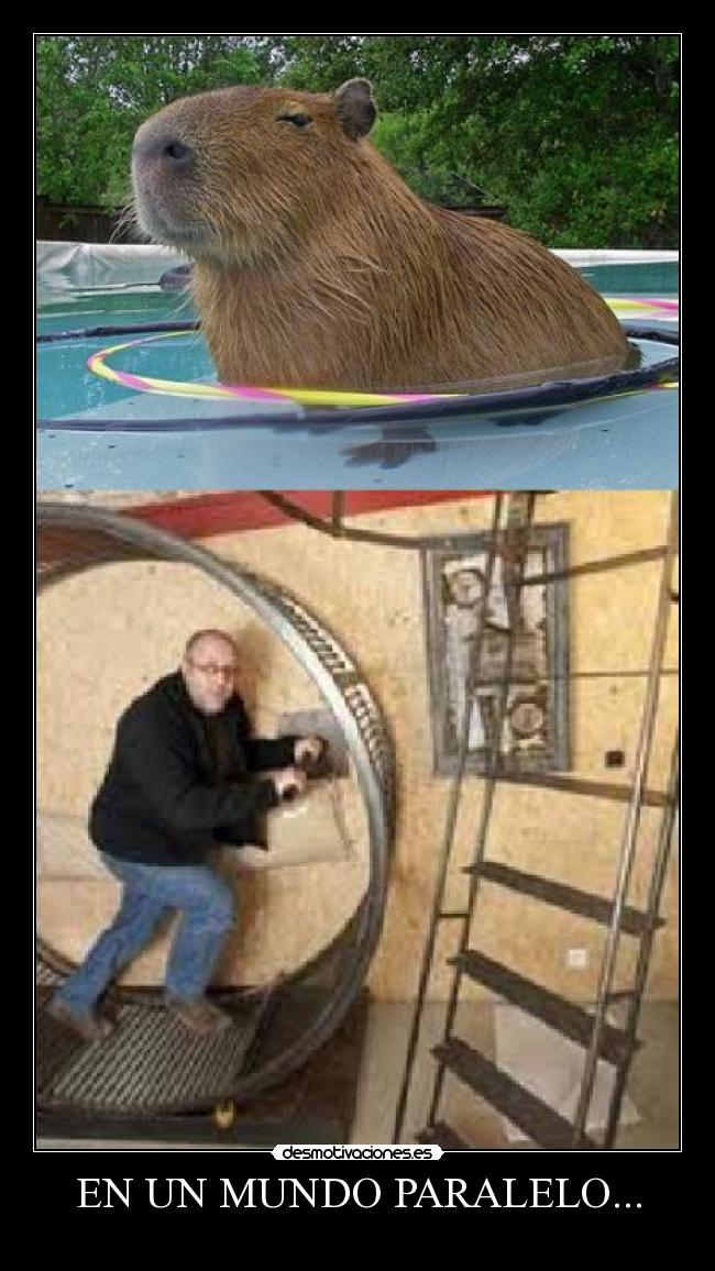 EN UN MUNDO PARALELO... - 