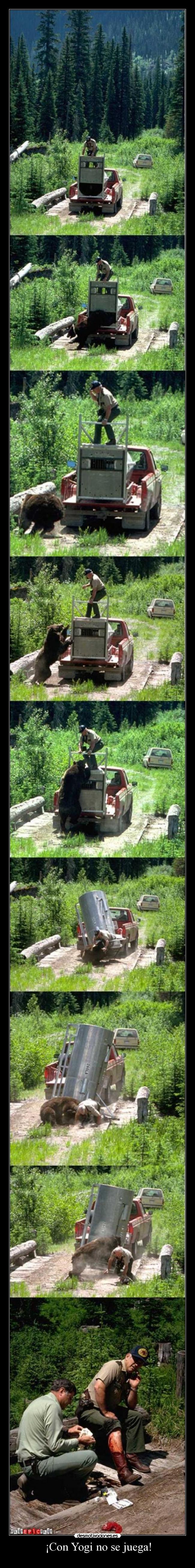 carteles yogi desmotivaciones