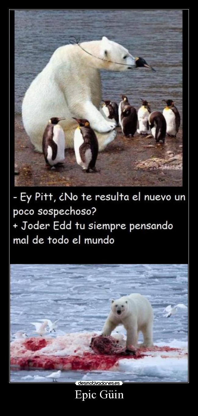 Epic Güin - 