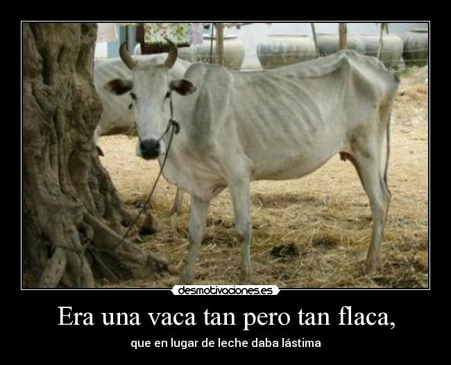 carteles vaca flaca leche desmotivaciones