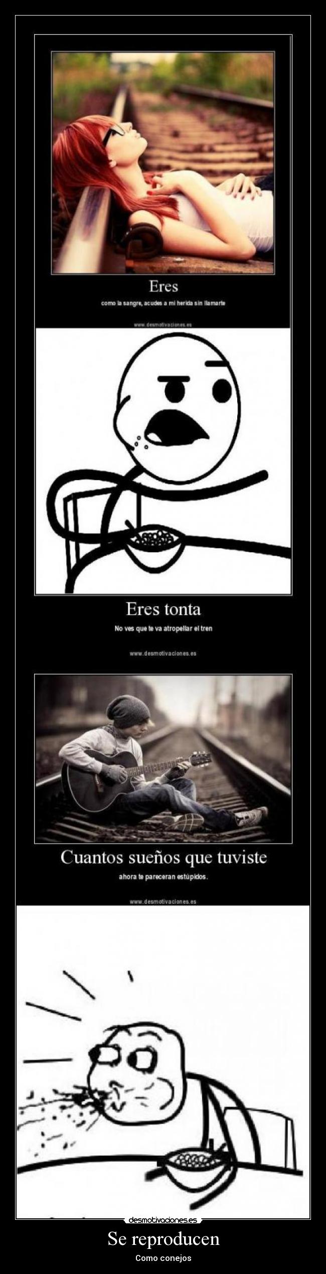 carteles cereal guy eres tonta tonto tontos tren atropellar reproducir conejos desmotivaciones
