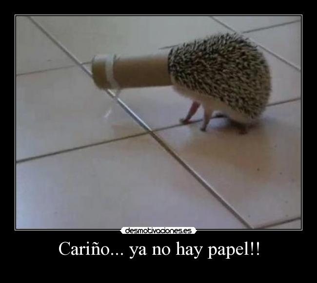 Cariño... ya no hay papel!! -