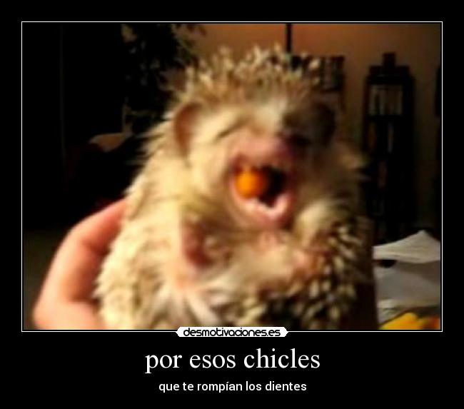 por esos chicles -