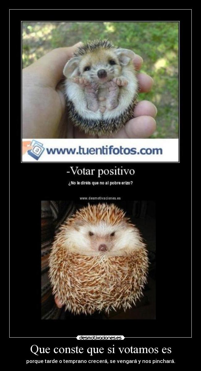 Que conste que si votamos es - 