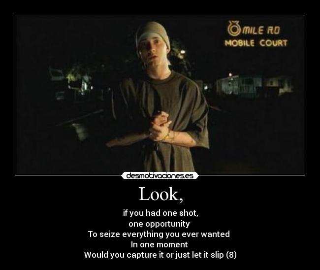 Look, - if you had one shot,
one opportunity
To seize everything you ever wanted
In one moment
Would you capture it or just let it slip (8)