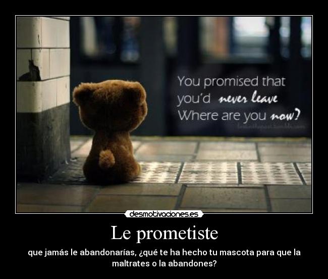 Le prometiste - 