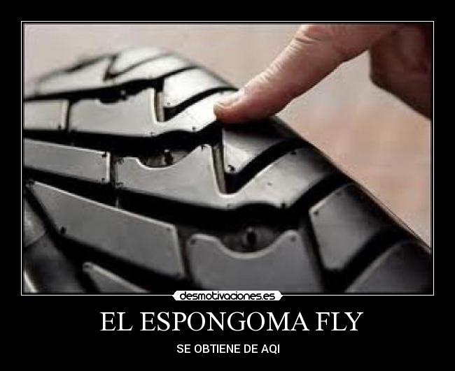 EL ESPONGOMA FLY - SE OBTIENE DE AQI
